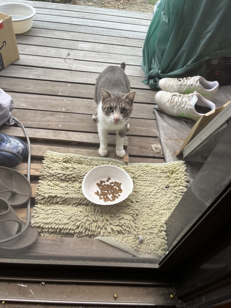 リフォーム、DIY、不動産、ペット、福岡市